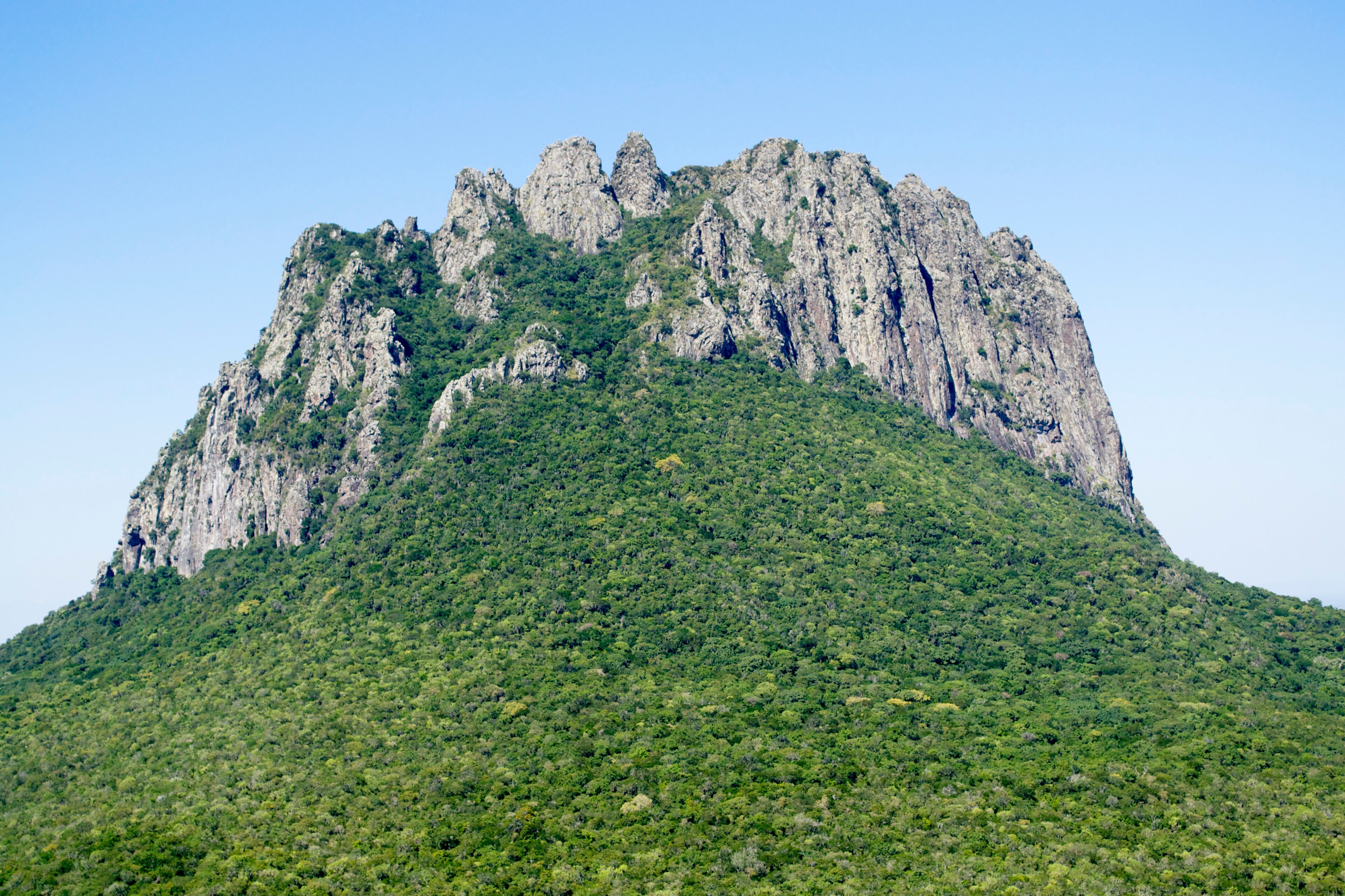 Cerro Bernal de Horcasitas, Tamaulipas