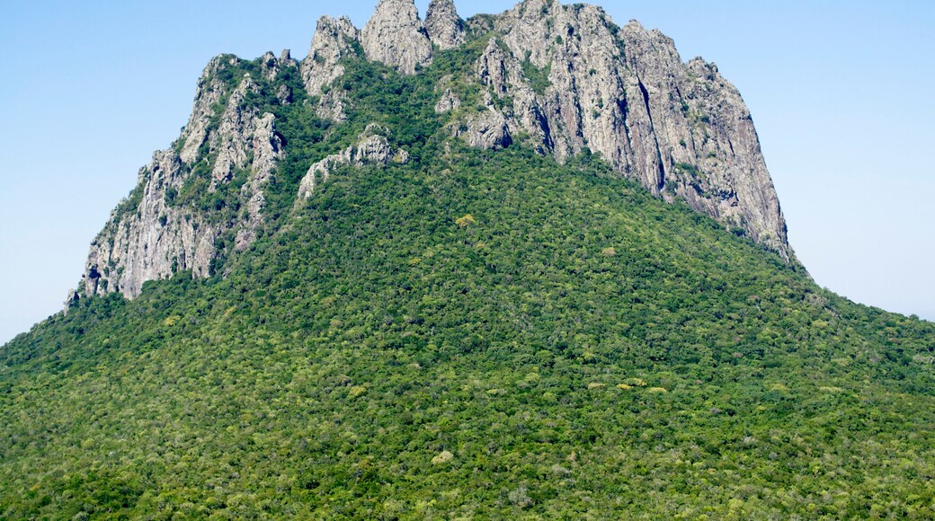 Cerro Bernal de Horcasitas, Tamaulipas
