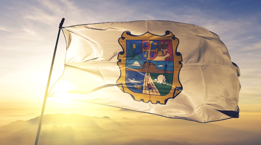 Tamaulipas state of Mexico flag waving on the top sunrise mist fog