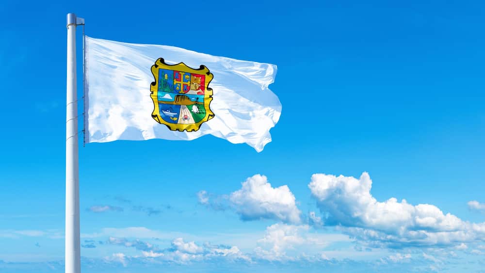 Tamaulipas, state of Mexico - flag waving on a blue sky in beautiful clouds - Horizontal banner