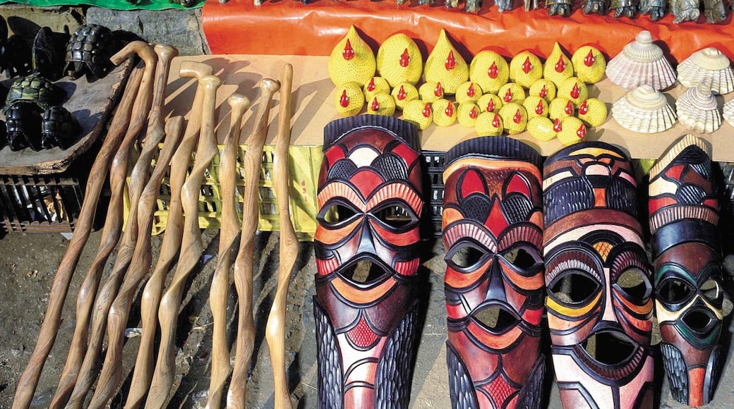 Nelspruit inclusief markten en kunst