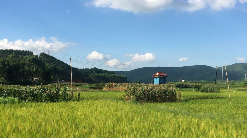 Driving through Wuming County in Nanning