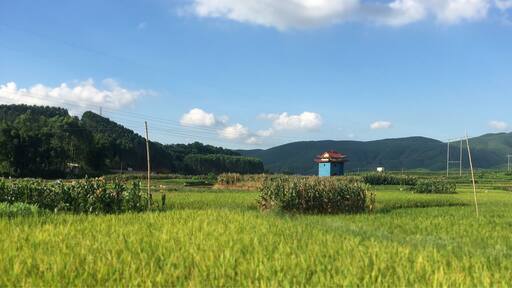 Driving through Wuming County in Nanning
