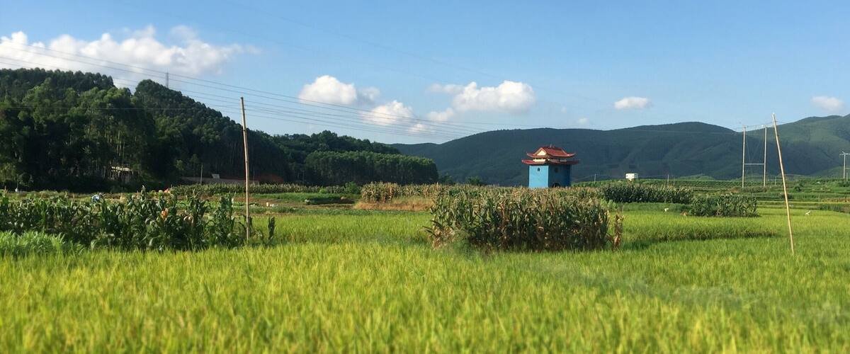 A rural landscape with green fields, a small blue building, and hills in the background.