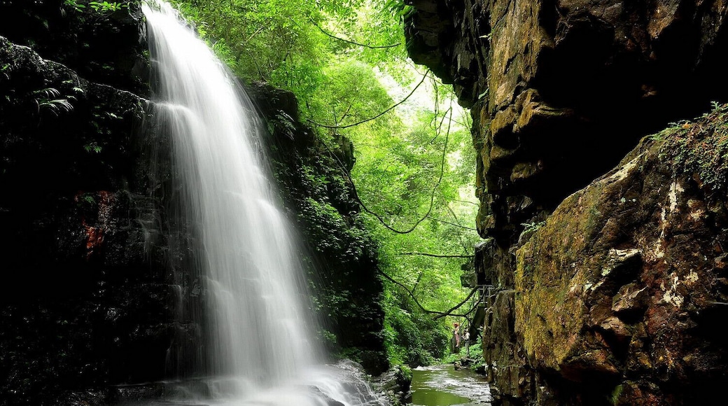#JiulongWaterfalls Forest Park of Heng xian County.
横县九龙瀑布群国家森林公园.
https://twitter.com/Beautifulgx