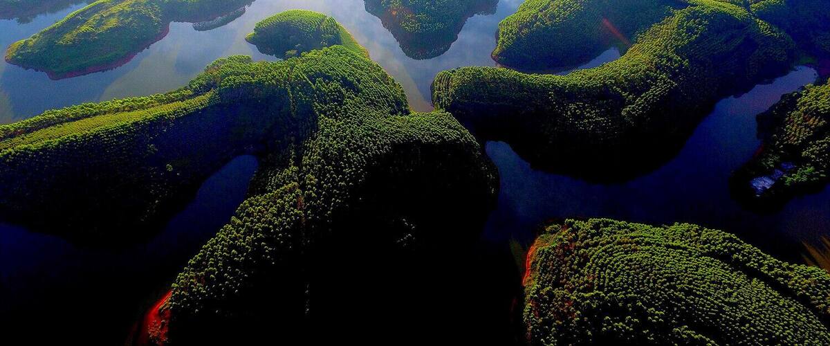 Dawang Beach National Wetland Park .
#大王滩国家湿地公园.
https://twitter.com/Beautifulgx