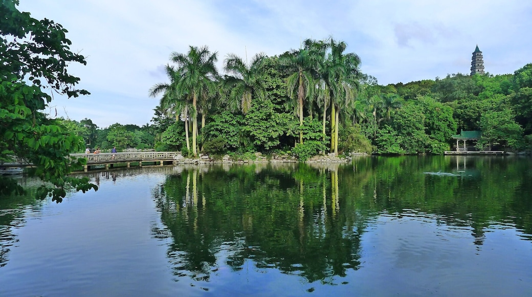 Qingxiu Mountain Scenic Area of #Nanning,China. 南宁青秀山风景区
https://twitter.com/Beautifulgx