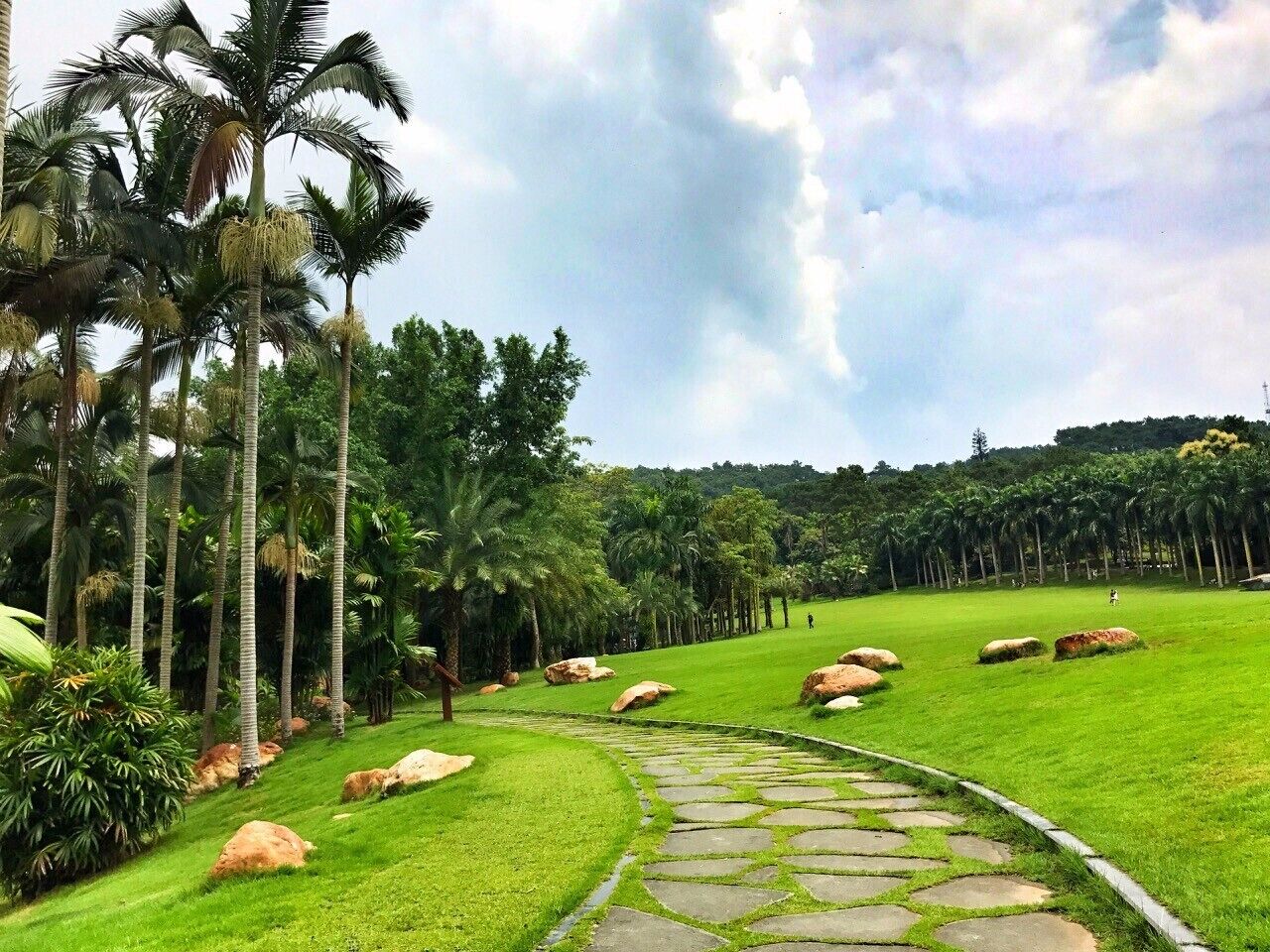 A pathway through a lush green landscape with palm trees and large rocks.