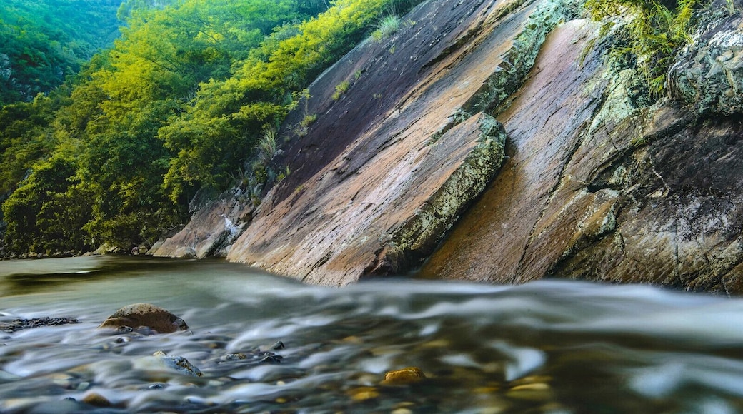 The most fascinating encounter of this Summer— #DamingMountain.
夏日里最美的遇见— #大明山
https://twitter.com/Beautifulgx