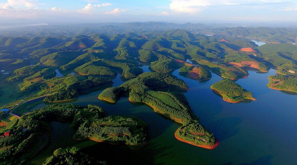Dawang Beach National Wetland Park .
#大王滩国家湿地公园.
https://twitter.com/Beautifulgx
