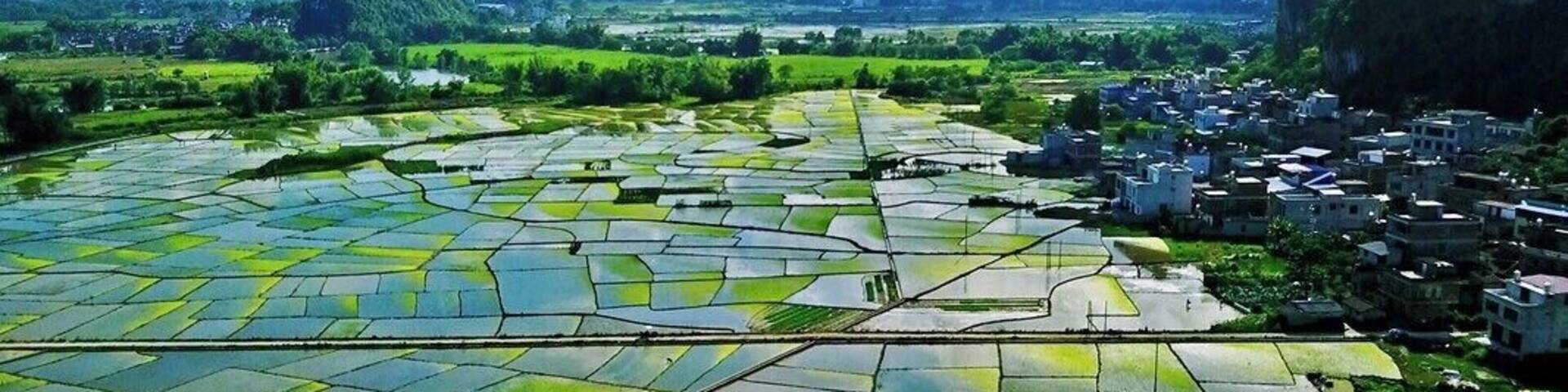 Terraced rice fields, a village, and mountains in the background.