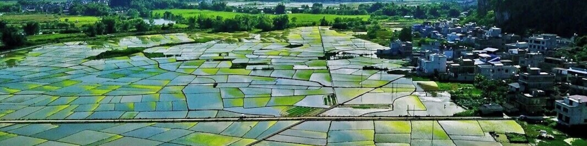 Terraced rice fields, a village, and mountains in the background.