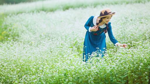 The Long'an #Buckwheat flowers are in full blossom,let's enjoy the Spring together.
https://twitter.com/Beautifulgx