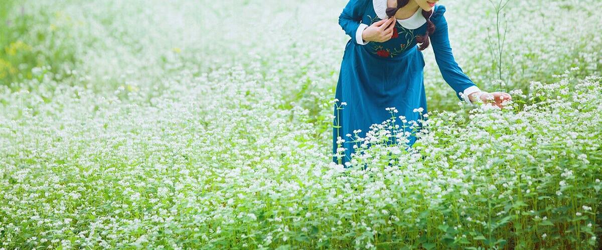 A person in a blue dress and hat walking through a field of white flowers.