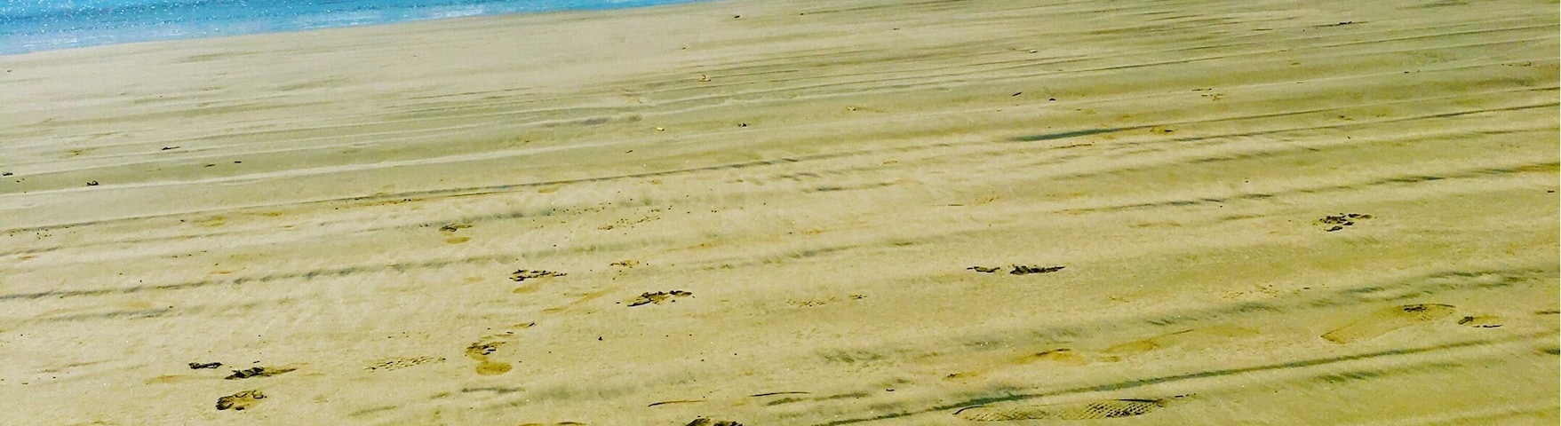 #CostaRica #Nosara #Surfing