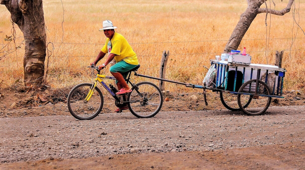 Shaved ice on a hot day.