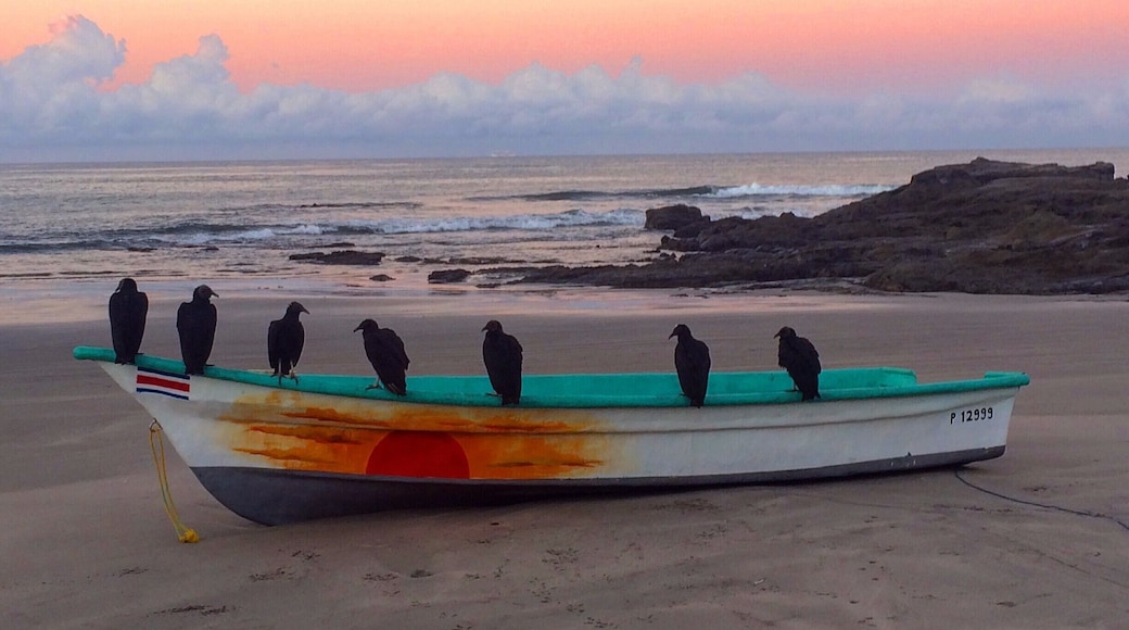 Morning run - the early birds get the worms #LifeAtExpedia