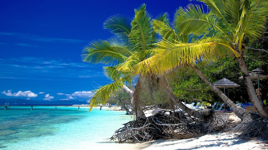 Noumea showing a sandy beach
