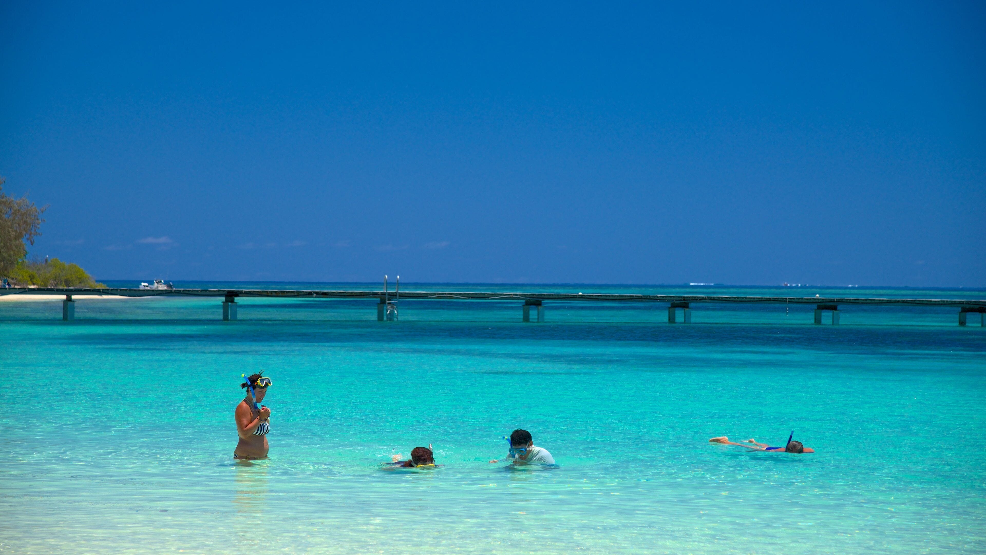 Noumea featuring general coastal views, swimming and snorkeling