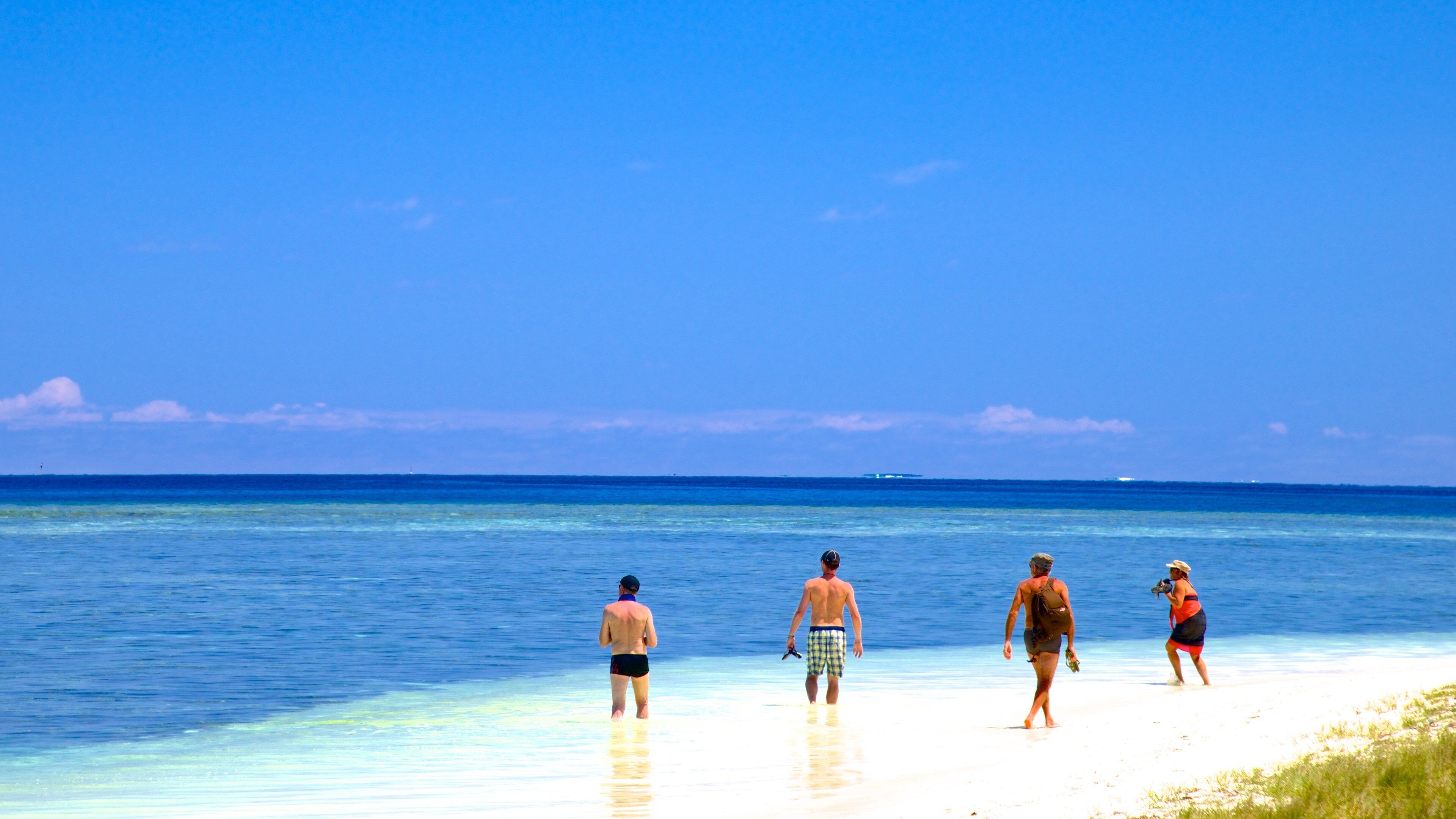 諾美亞 设有 一般的海岸景觀 以及 小群人