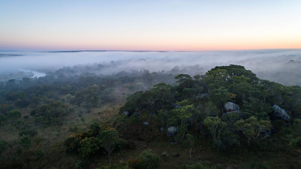 Floresta virgem de miombo ao longo do Cubango de madrugada vista do ar. Angola