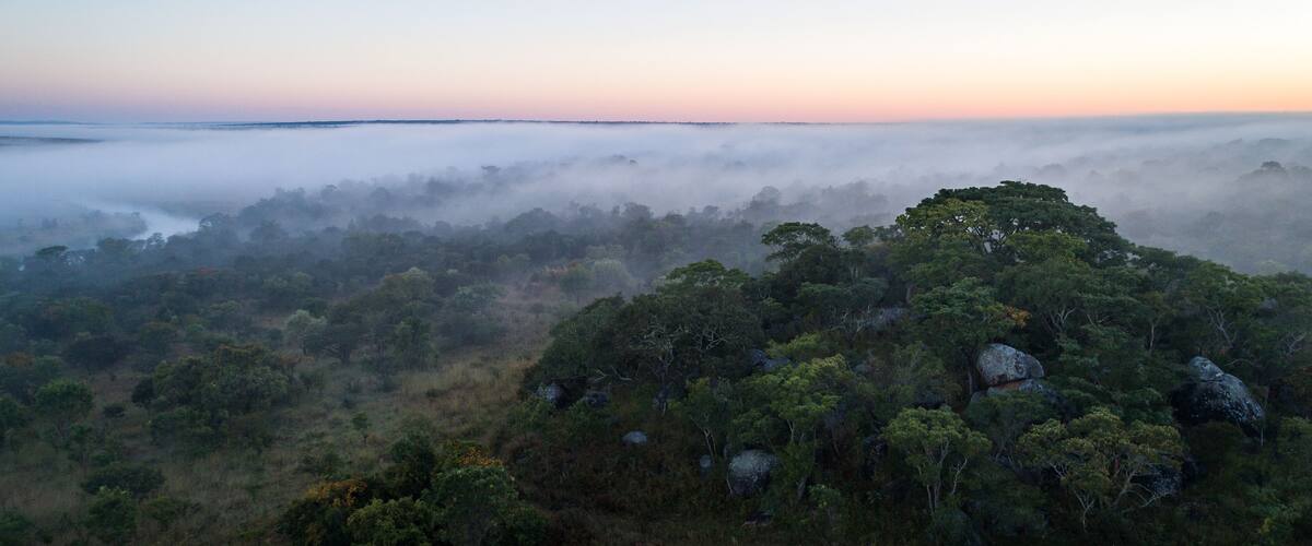Floresta virgem de miombo ao longo do Cubango de madrugada vista do ar. Angola