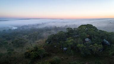 Floresta virgem de miombo ao longo do Cubango de madrugada vista do ar. Angola