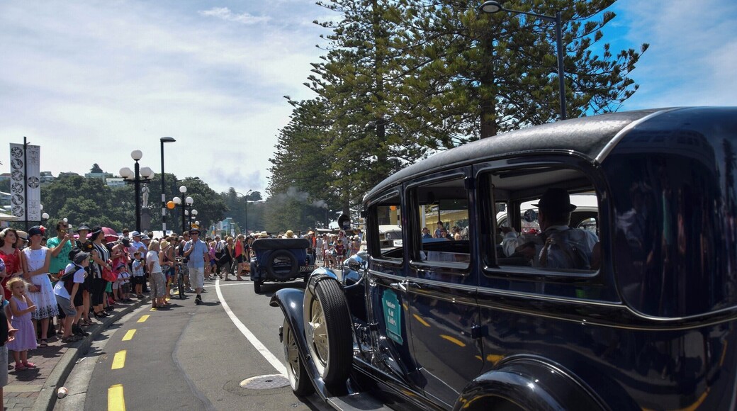 Art Deco Weekend!!
Art Deco Weekend is a celebration of the rebuilding of Napier after the 1931 Hawke's Bay earthquake- it celebrates our beautiful city and it's iconic buildings, memorializes the people of the city during the 1930's and makes for a great weekend! The event is planned extremely well, has an incredible amount of era-appropriate events and a magnificent setting. Everybody dresses up - frocks, heels and accessories, bow ties and suspenders... Add vintage car parades, over 200 different events - it's a great weekend!