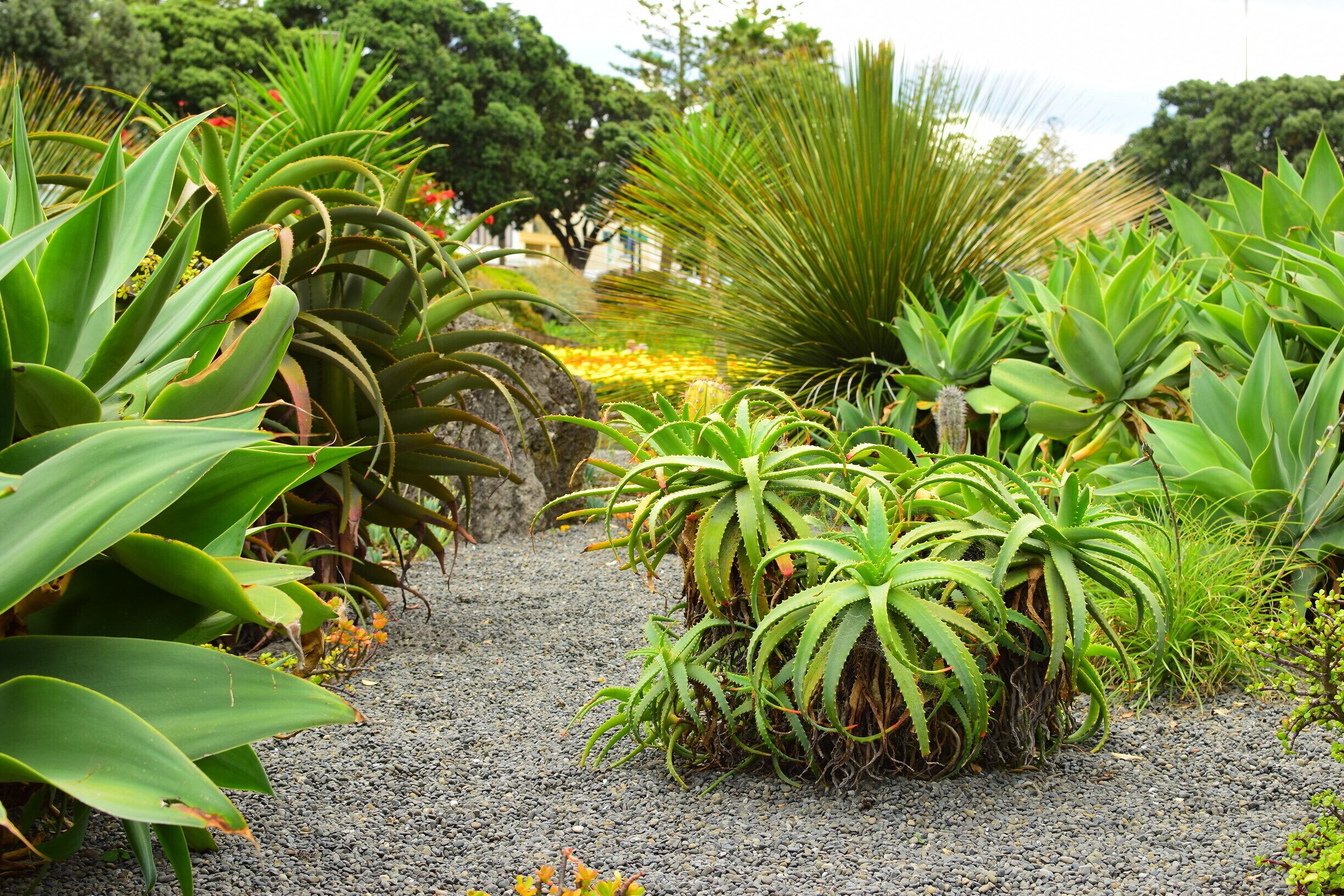 The Sunken Gardens in Napier this was taken on our weekend away in this beautiful city. If you get the chance to visit Napier make sure you do.