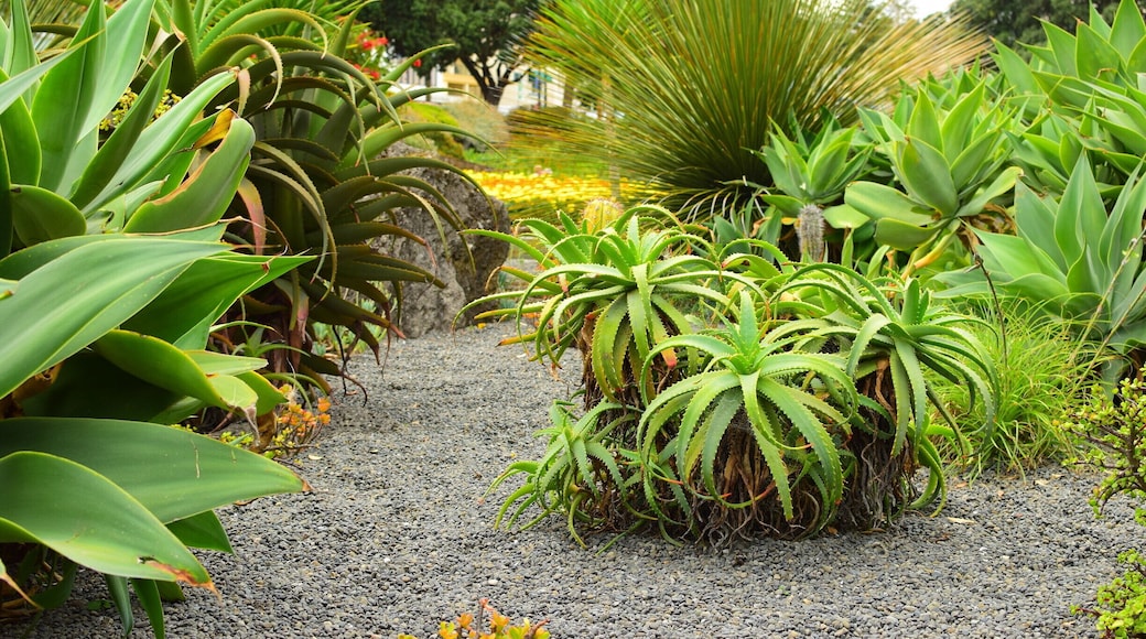 The Sunken Gardens in Napier this was taken on our weekend away in this beautiful city. If you get the chance to visit Napier make sure you do.