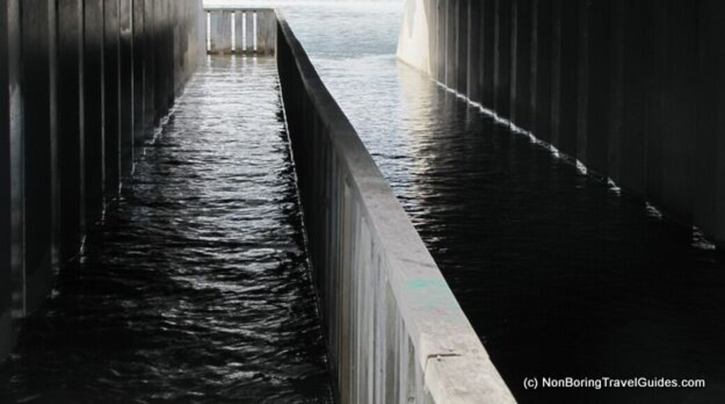 This cycle/walk way is VERY near the tidal waterways - or in this case, under it.
Nice area to walk near the airport, with quite a few birds to be seen.