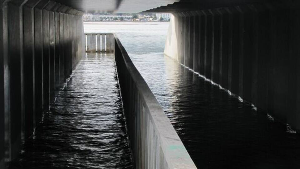 This cycle/walk way is VERY near the tidal waterways - or in this case, under it.
Nice area to walk near the airport, with quite a few birds to be seen.