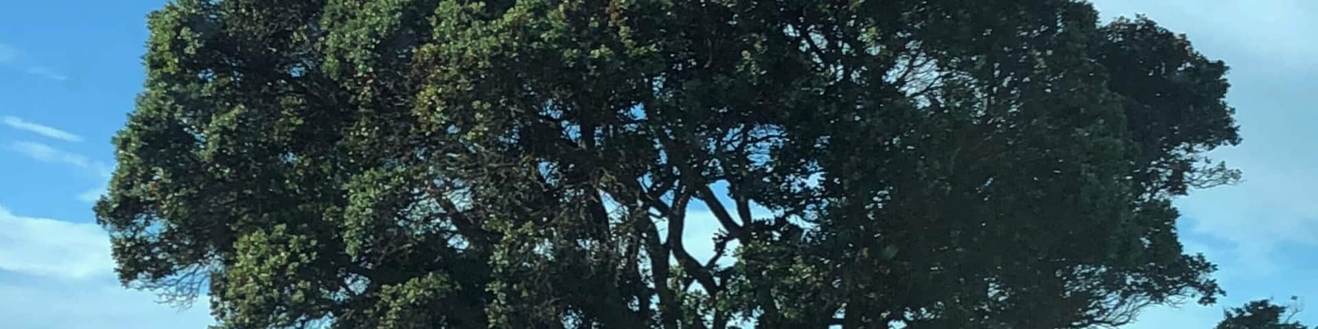 The turquoise blue if the water as you take the coastal drive from Napier to Gisborne.