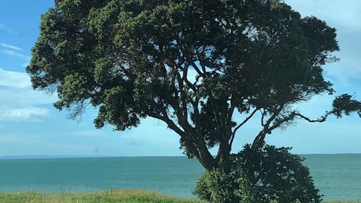 The turquoise blue if the water as you take the coastal drive from Napier to Gisborne.