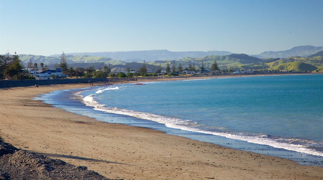Napier som inkluderer kyst og sandstrand