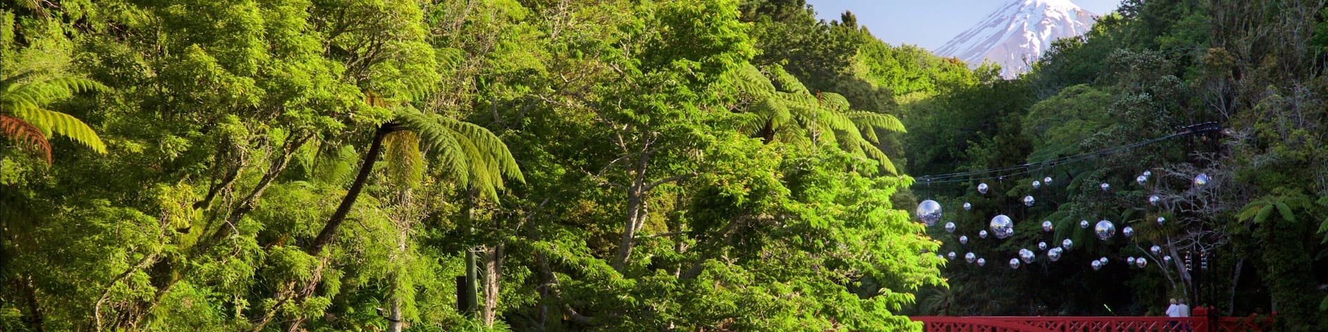 New Plymouth featuring a river or creek, forests and a bridge