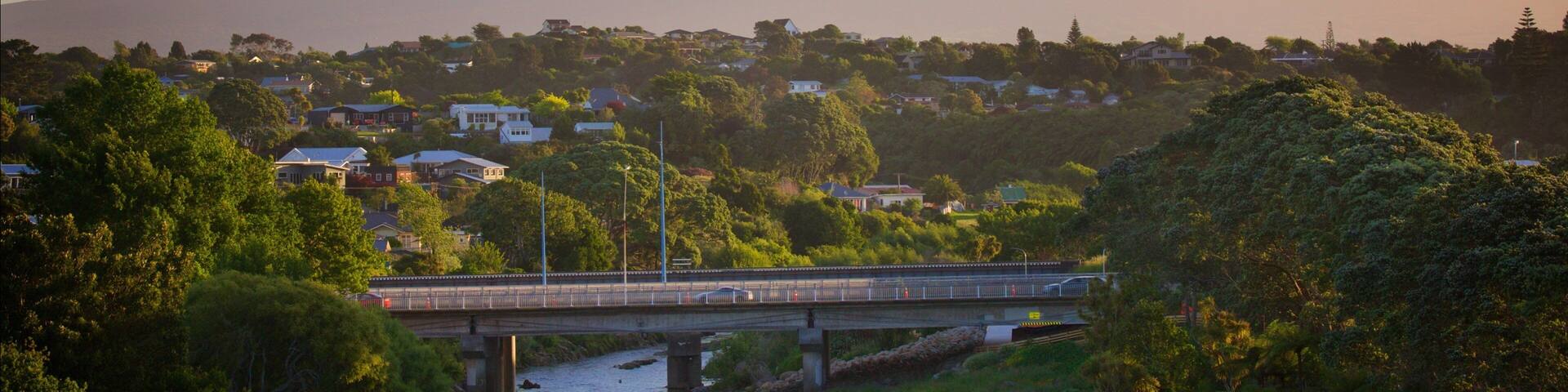 New Plymouth das einen Berge, Brücke und Fluss oder Bach