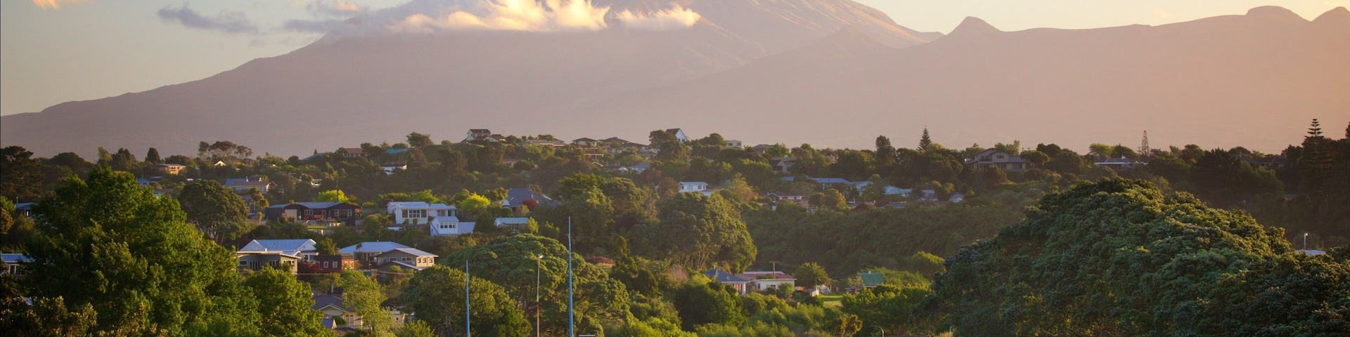 New Plymouth mostrando uma ponte, um rio ou córrego e montanhas