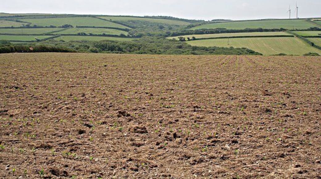 Newly Planted Field.