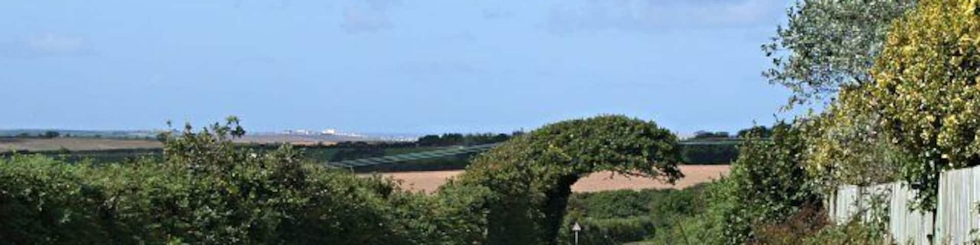 The Road to Newquay. The strange shaped tree growing over the road seems to have been bent over by the prevailing southwest wind and cropped underneath by lorries. It looks something like a breaking wave, quite appropriate really as the white dots on the horizon are buildings in Newquay.