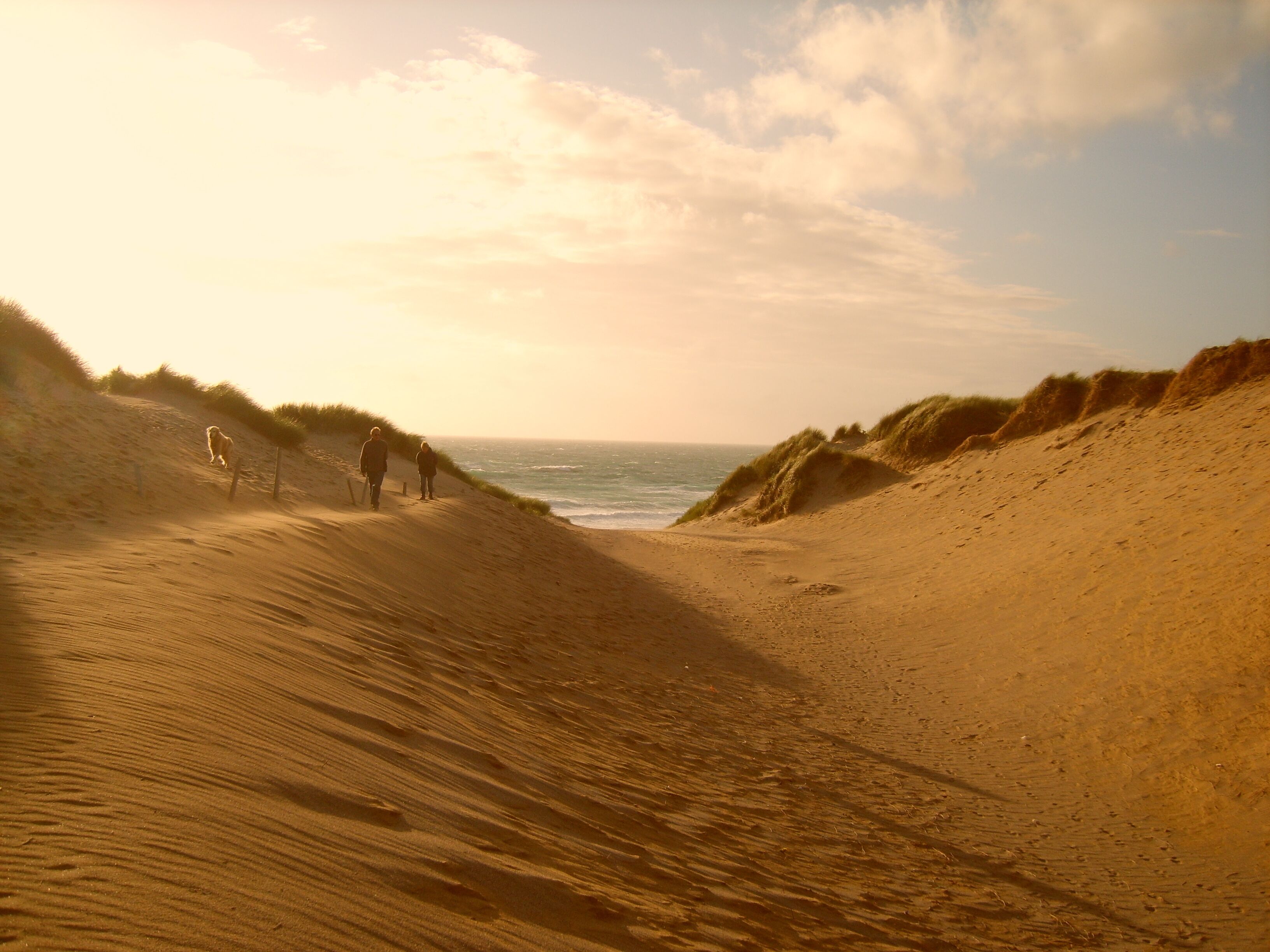A sandy beach with dunes and the ocean in the background.