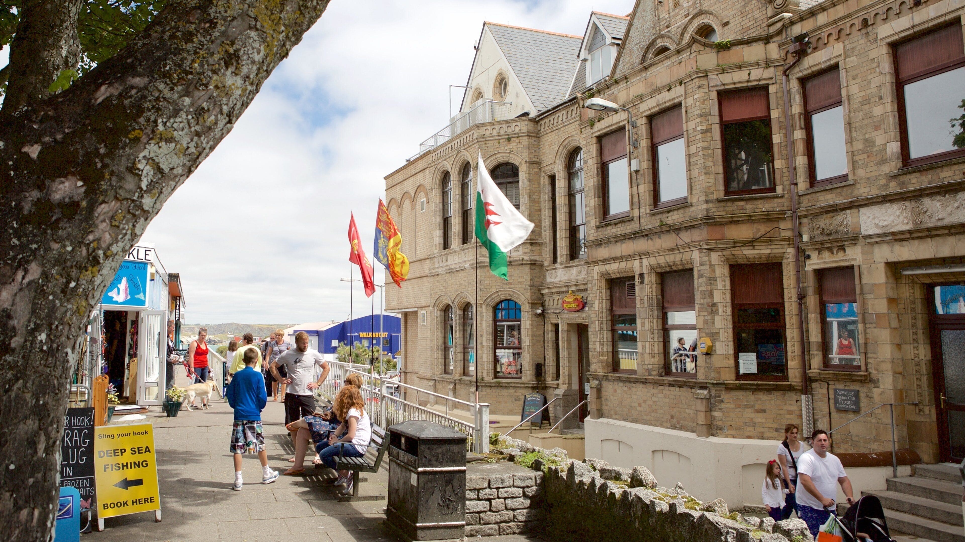 Newquay mostrando una ciudad costera, patrimonio de arquitectura y compras