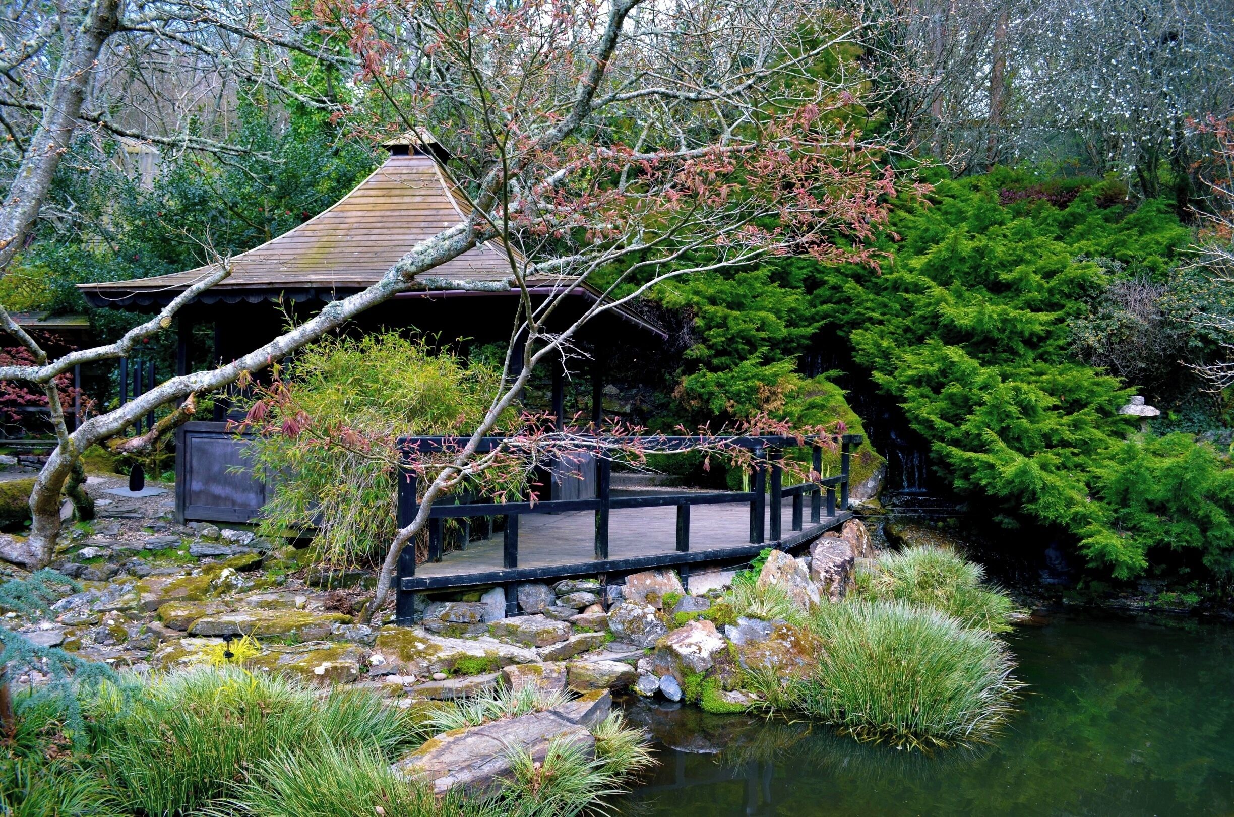 Taken at the Japanese Garden and Bonsai Nursery near Newquay, Cornwall, UK.
#Holiday #DayOut #Newquay #Cornwall #Japanese #Garden #Bonsai #Plants #Nature