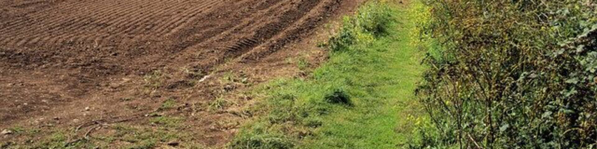 Footpath to Ellenglaze View southwards from the north end of the footpath to Ellenglaze. In the distance is a hazy view across the back of the dunes at Penhale Sands.