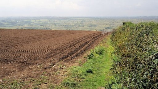 Footpath to Ellenglaze View southwards from the north end of the footpath to Ellenglaze. In the distance is a hazy view across the back of the dunes at Penhale Sands.