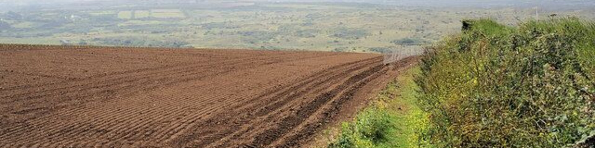A plowed field with a grassy hill and distant landscape.