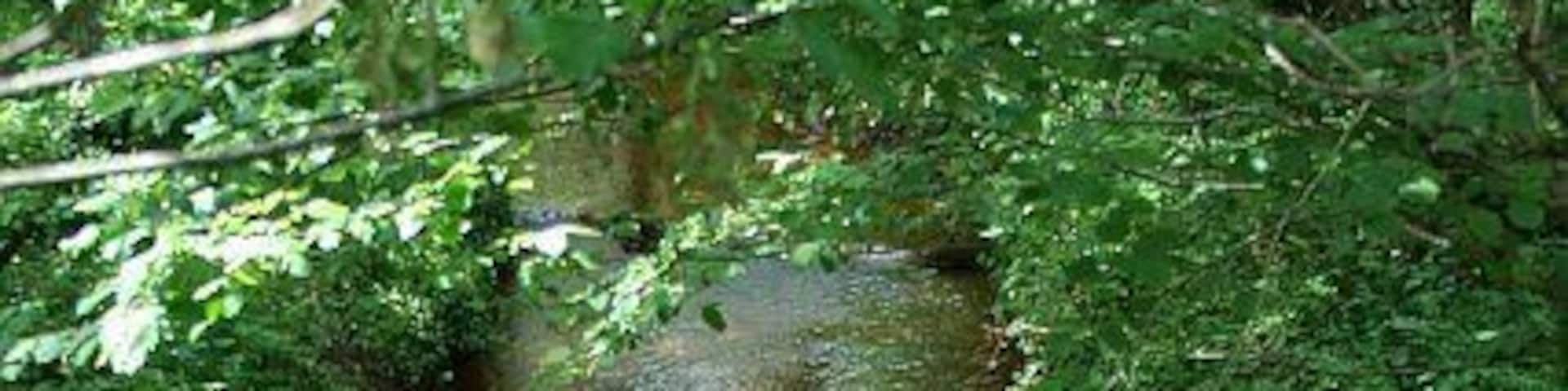 Looking down at the River from Metha Bridge. The red staining in the river bed shows that the Lappa Valley River is carrying contamination from old mine workings somewhere upstream.