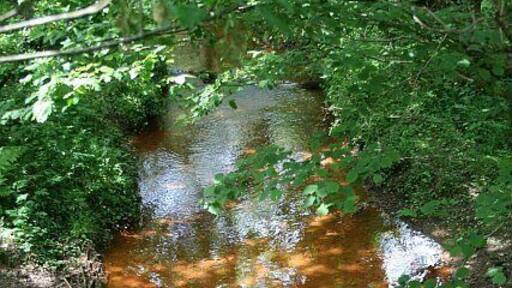 Looking down at the River from Metha Bridge. The red staining in the river bed shows that the Lappa Valley River is carrying contamination from old mine workings somewhere upstream.
