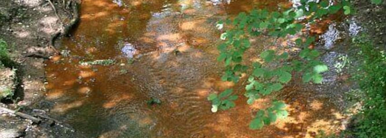 Looking down at the River from Metha Bridge. The red staining in the river bed shows that the Lappa Valley River is carrying contamination from old mine workings somewhere upstream.