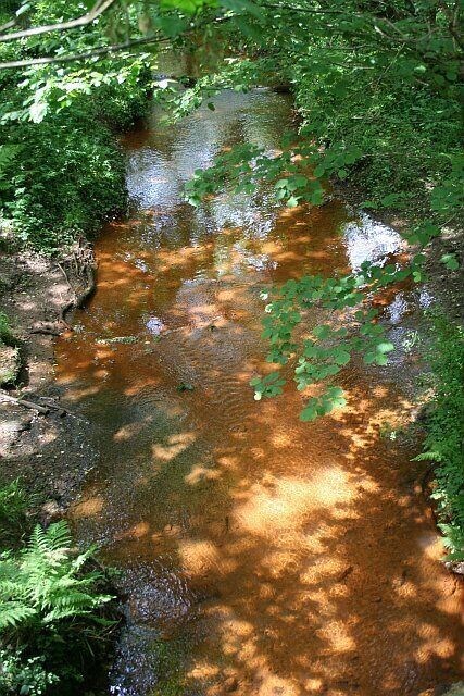 A stream with reddish-brown water surrounded by green foliage.
